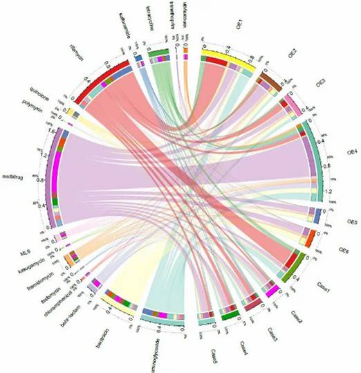 Circos diagram depicting the distribution of resistance genes.
